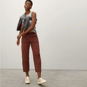everlane cigarette style brown carpenter pants (tagged 4)